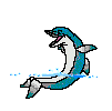 dolphin jumping waves