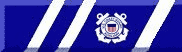 US Coast Guard Auxiliary BAnner left with Stripes and Insignia